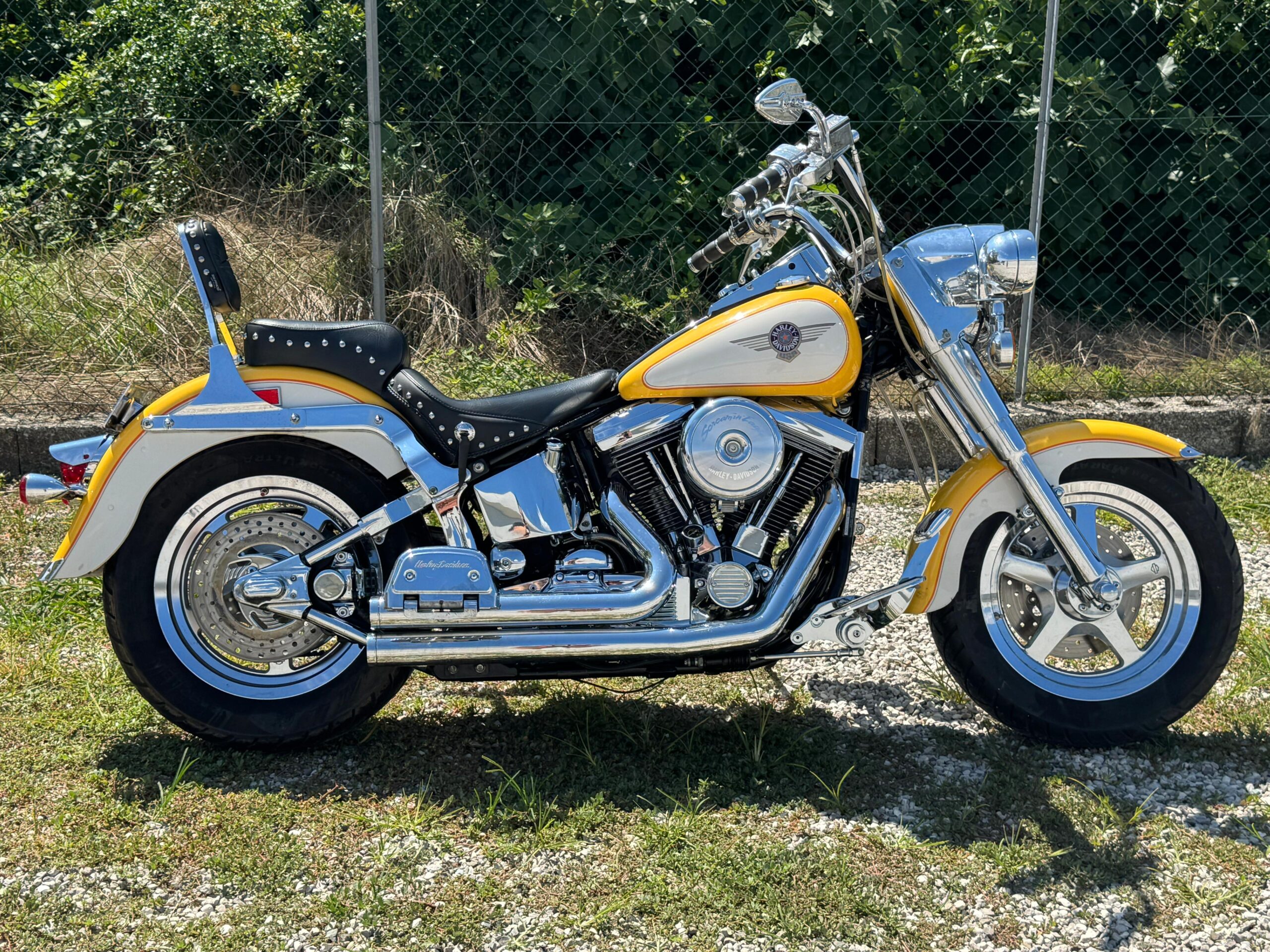 1995 Harley-Davidson fat boy